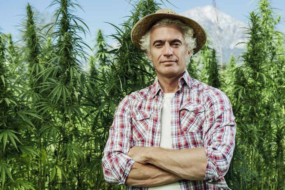 Confident,Farmer,Posing,With,Arms,Crossed,In,His,Hemp,Field